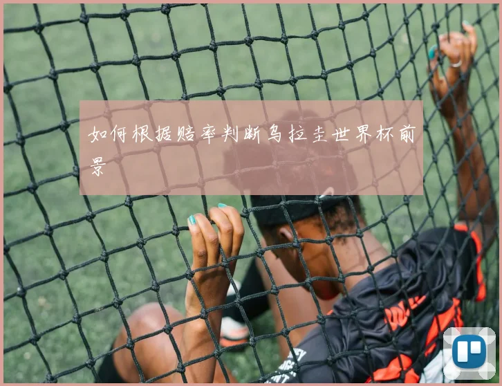 如何根据赔率判断乌拉圭世界杯前景