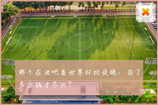 那个在酒吧看世界杯的夜晚，花了多少钱才尽兴？
