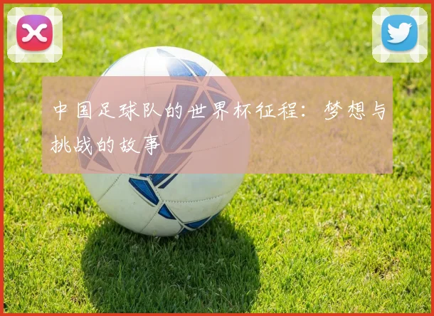 中国足球队的世界杯征程:梦想与挑战的故事