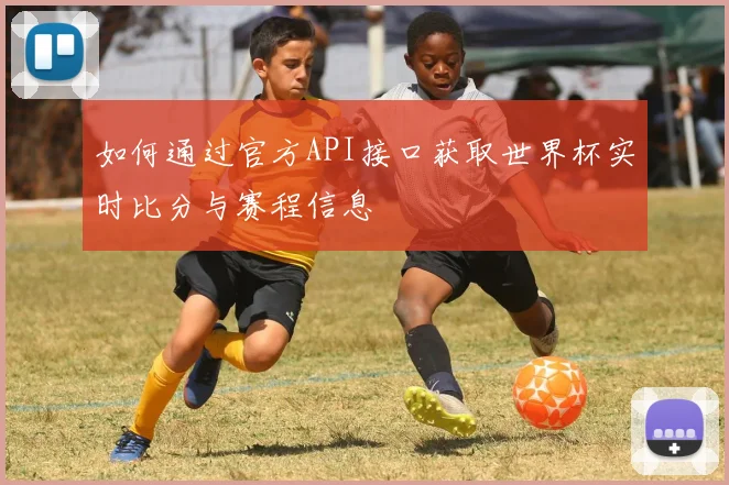 如何通过官方API接口获取世界杯实时比分与赛程信息