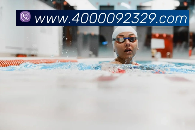 多媒体互动体验