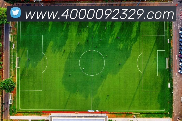 开云账号中心登录入口APP 高清赛事图